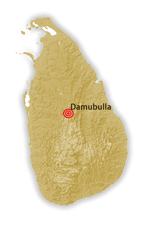 dambulla_map
