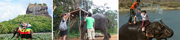 elephant_ride_panoroma