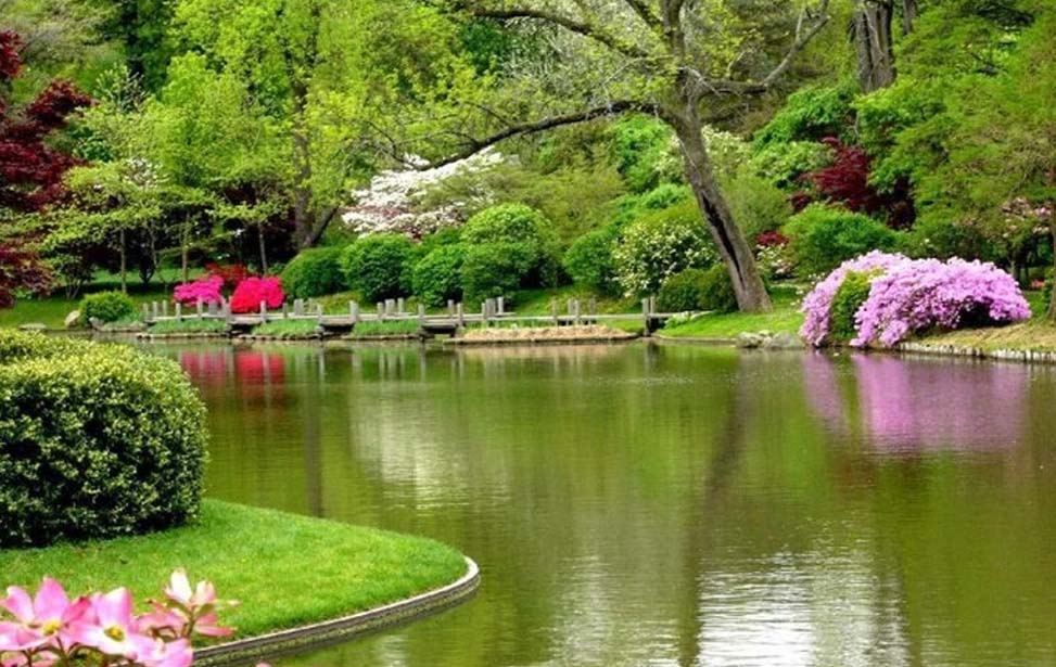 peradeniya_botanical_garden